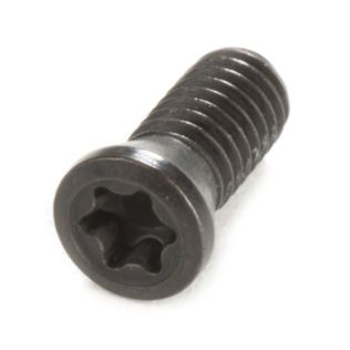 35189 - M4 x 10 mm Insert Screw